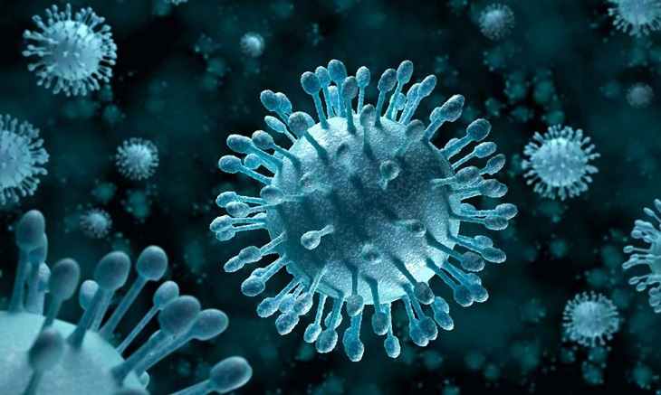 Các loại vi khuẩn, virus gây hại xâm nhập vào cơ thể là nguyên nhân chính khiến bệnh khởi phát