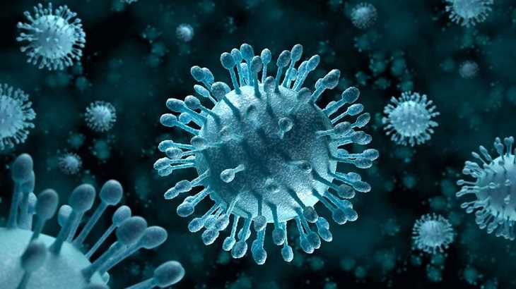 Các loại virus, vi khuẩn là nguyên nhân hàng đầu gây bệnh viêm họng hạt ở lưỡi