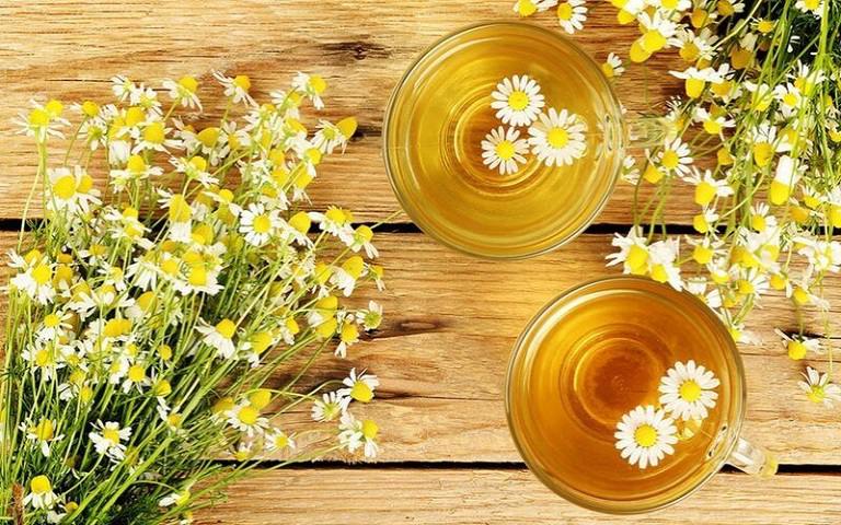 Trà hoa cúc mật ong giúp chữa đau họng hiệu quả