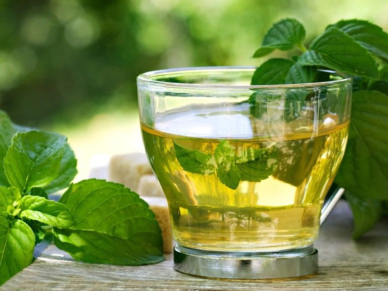 Nếu bạn đang băn khoăn không biết đau họng uống gì thì có thể dùng trà bạc hà